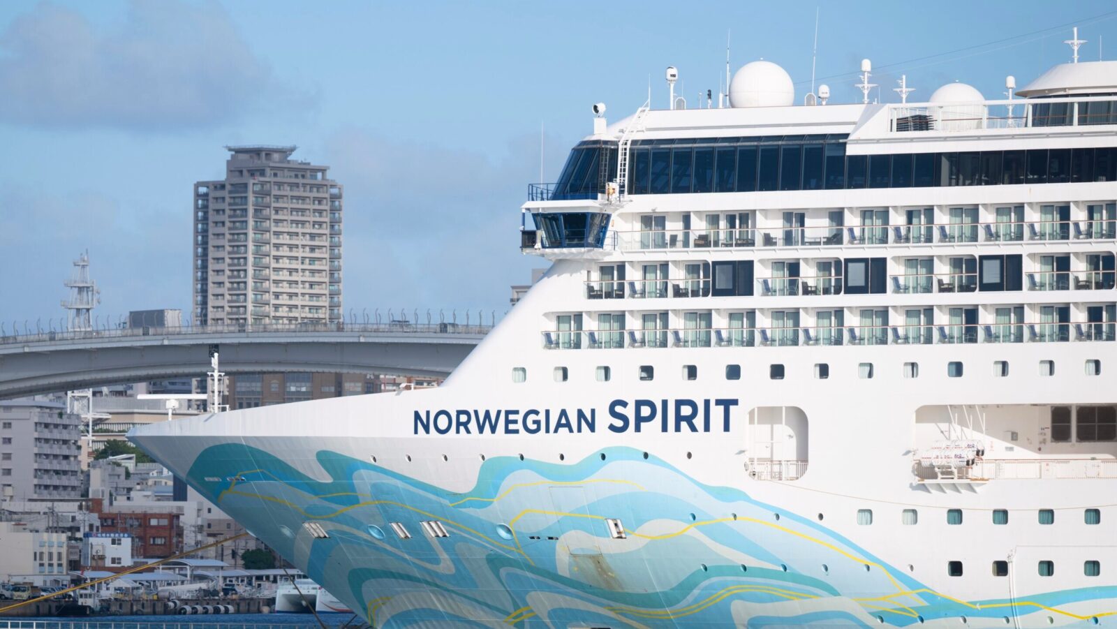 Cruising for Trouble: Activist Investor Elliott Chastises Norwegian Board for CEO Picks