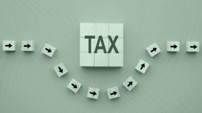 Why Jeffrey Levine Doesn’t Buy Cat Food, or the Bonus Depreciation Hype