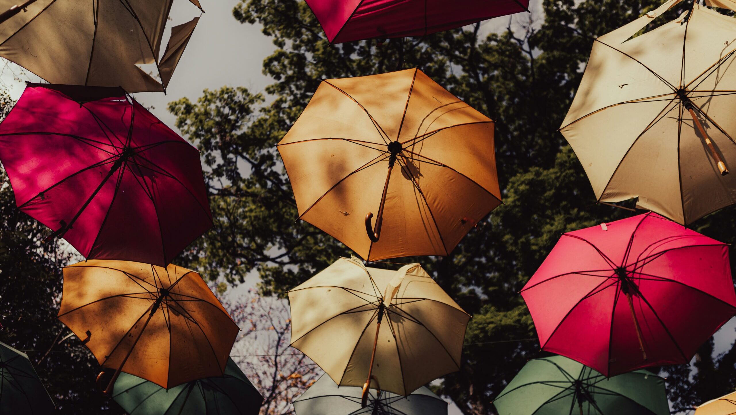 Why Buffer ETFs May Fall Short for Long-Term Investors