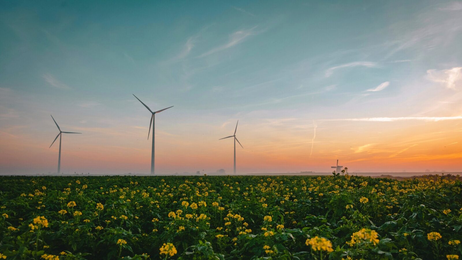 ‘Clean’ Company Index Trounced Peers Over Past Decade