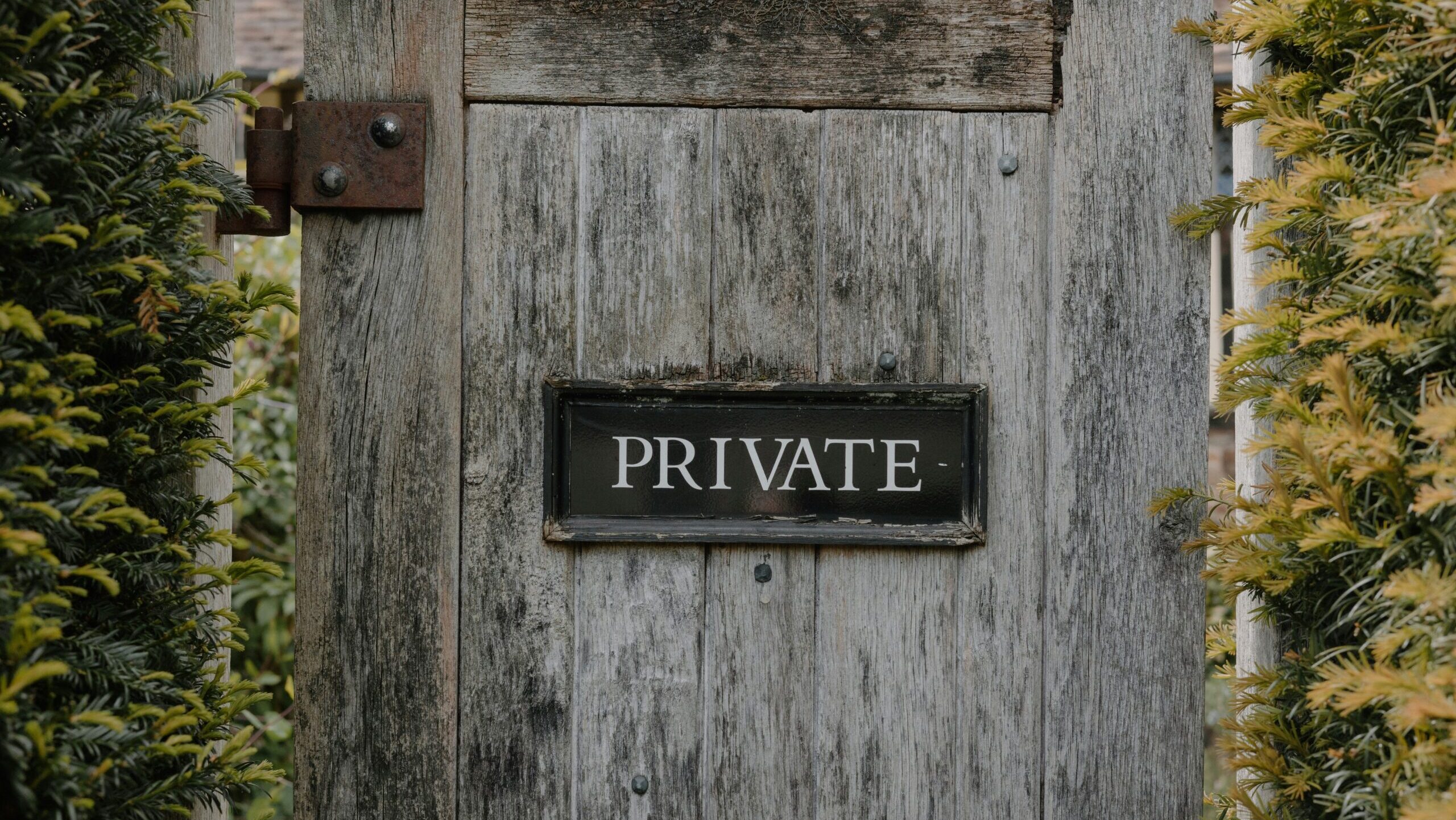 Fidelity Adds Models with a Taste of Private Markets 