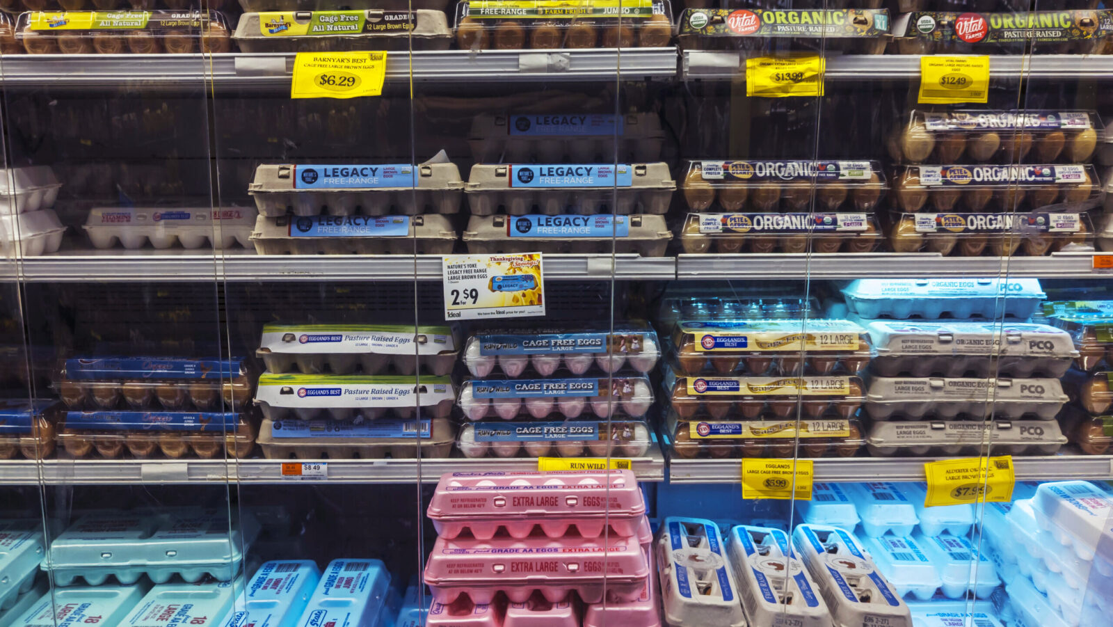 Lower Prices Scramble Outlook for Egg Giant Cal-Maine