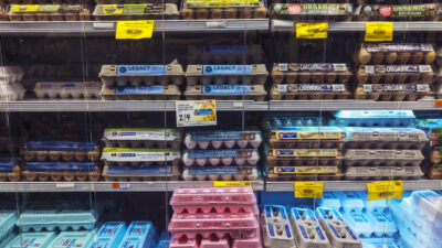 Lower Prices Scramble Outlook for Egg Giant Cal-Maine