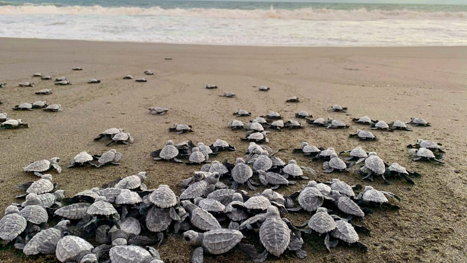 Direxion to Shutter 10 ETFs in April