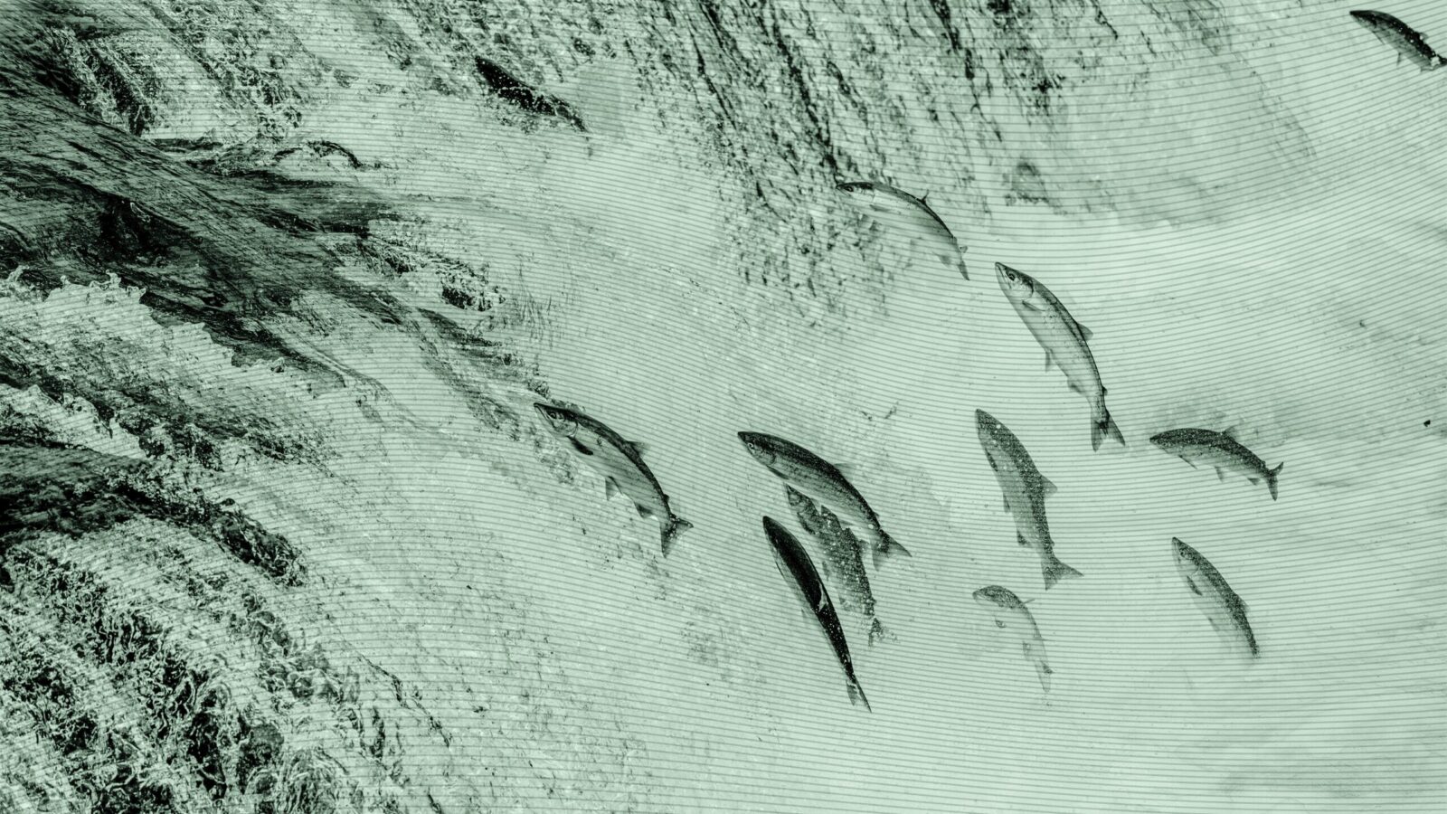 Rich Folks Want to Know What They&rsquo;re Paying Advisors For