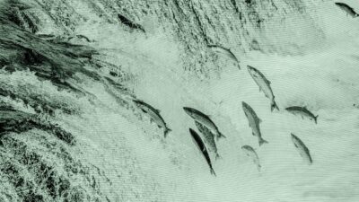 Rich Folks Want to Know What They’re Paying Advisors For