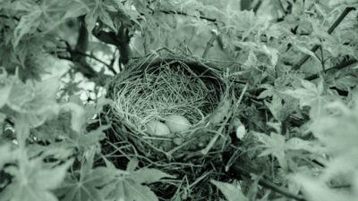 Inside the Citi, Advyzon Partnership to Deliver Unified Managed Accounts to Clients