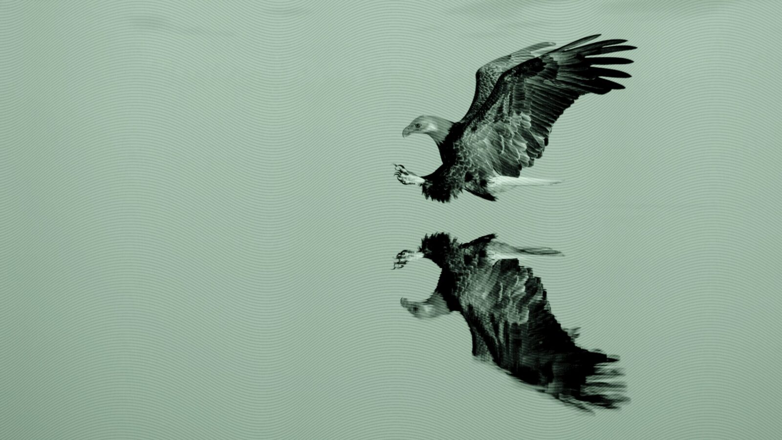 SEC Grants Dual-Share-Class Approval to Two Dozen More Issuers