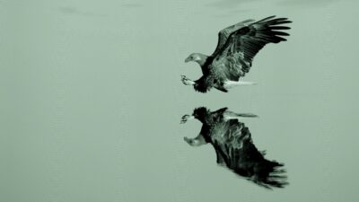 SEC Grants Dual-Share-Class Approval to Two Dozen More Issuers