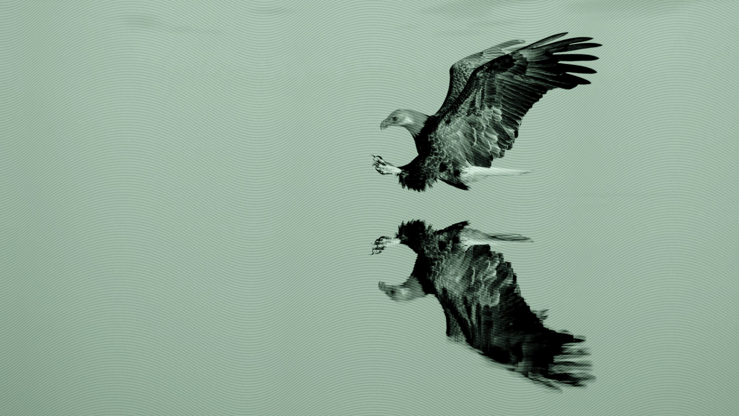 SEC Grants Dual-Share-Class Approval to Two Dozen More Issuers