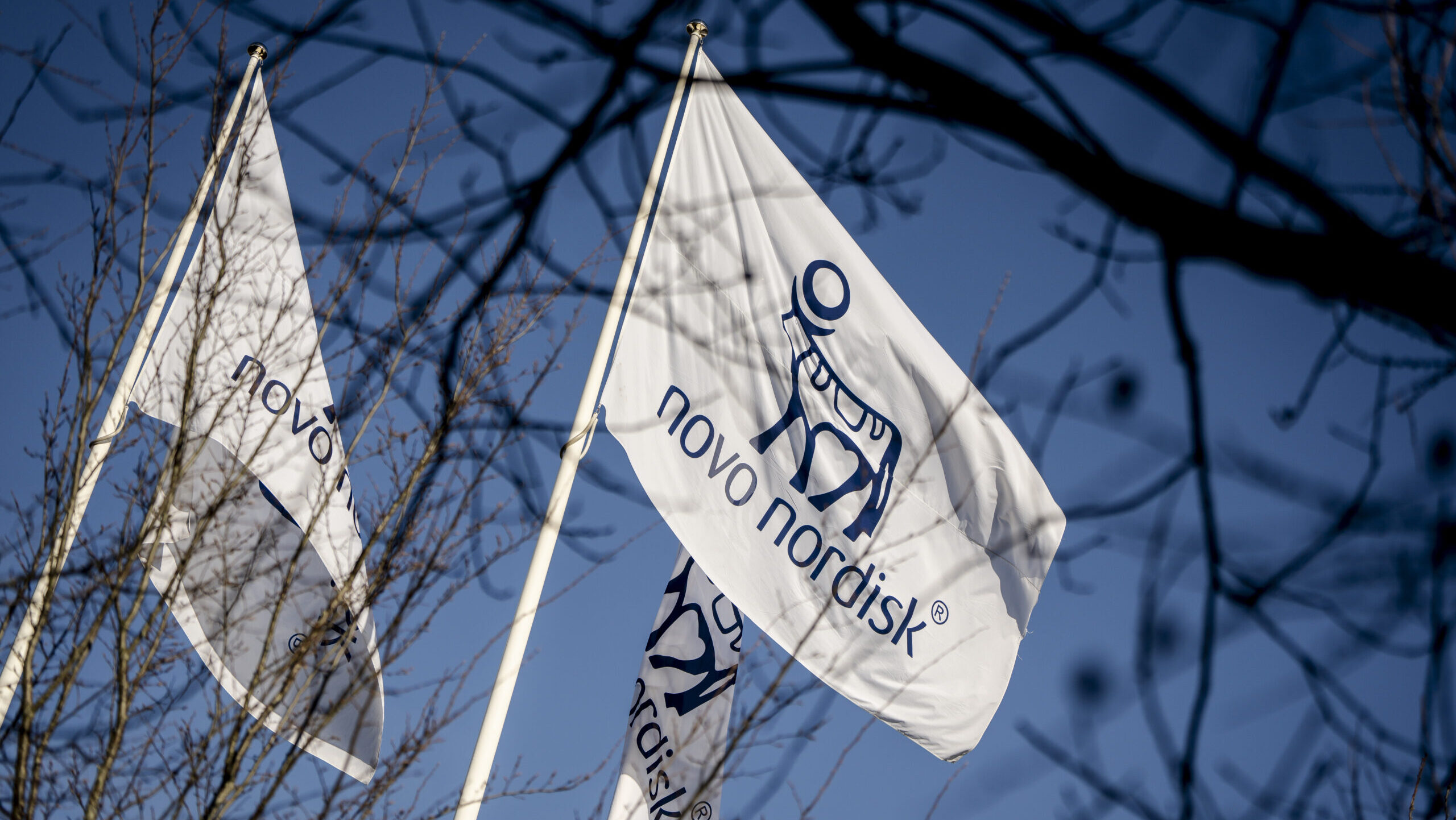 Flags with the Novo Nordisk logo fly in Bagsvaerd, Denmark.