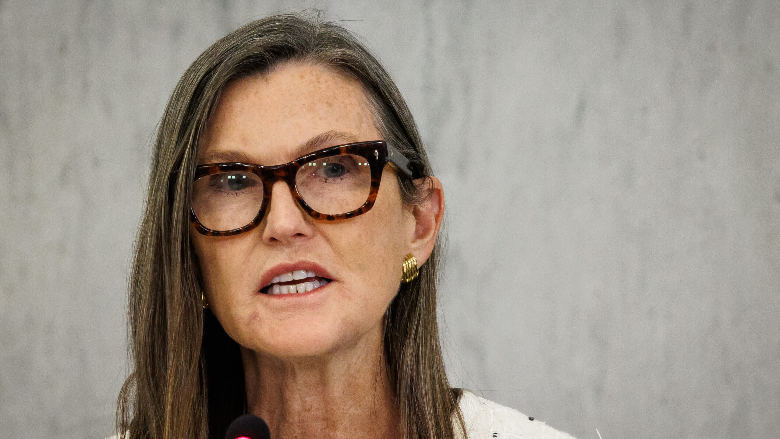 Cathie Wood, CEO of Ark Invest, speaks during the Payments Innovation Conference at the Federal Reserve on October 21, 2025.