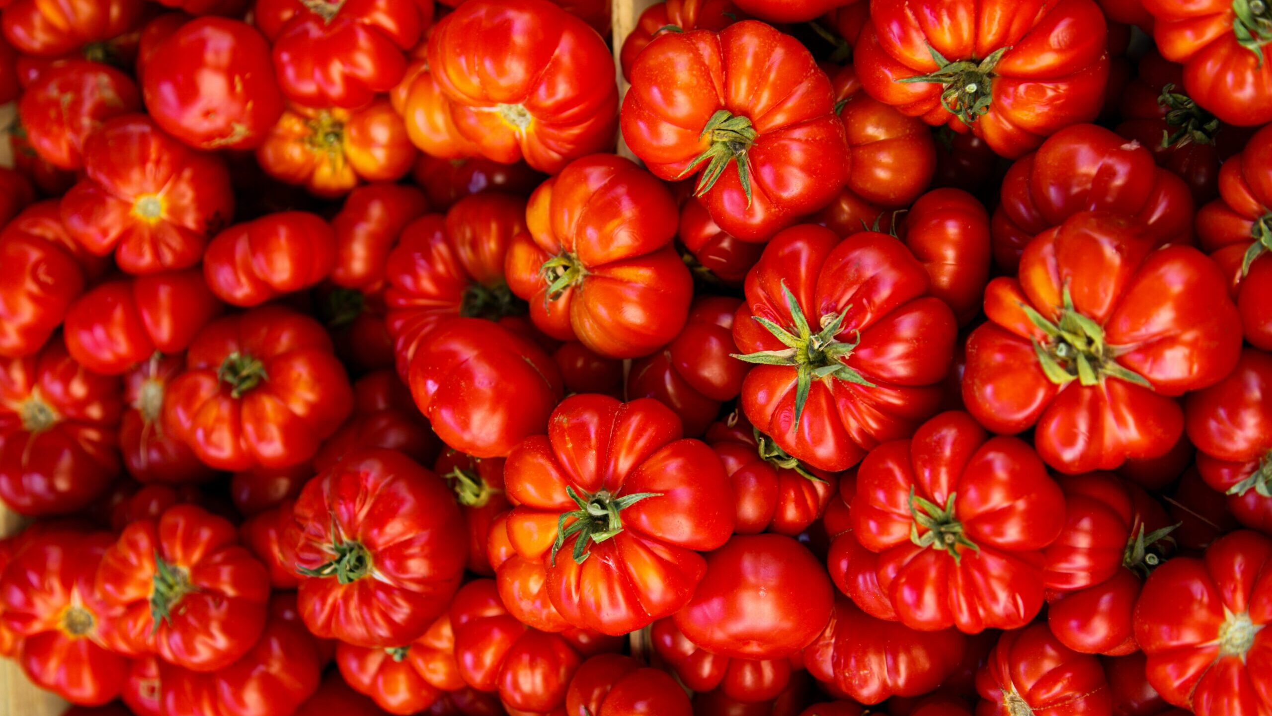 A pile of fresh tomatoes is shown up close.