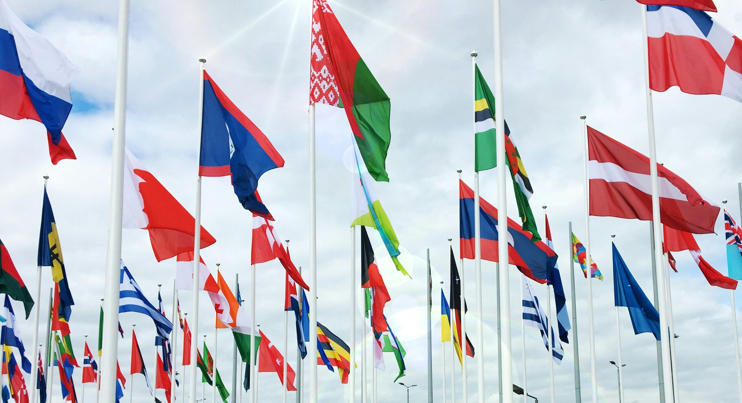 Picture of many country flags against cloudy sky.
