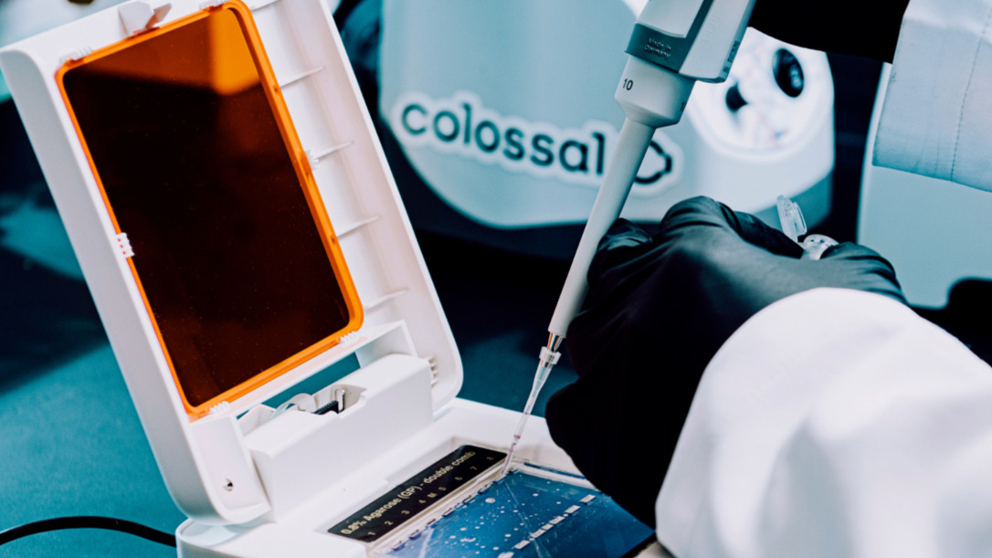 Photo of Colossal lab equipment.