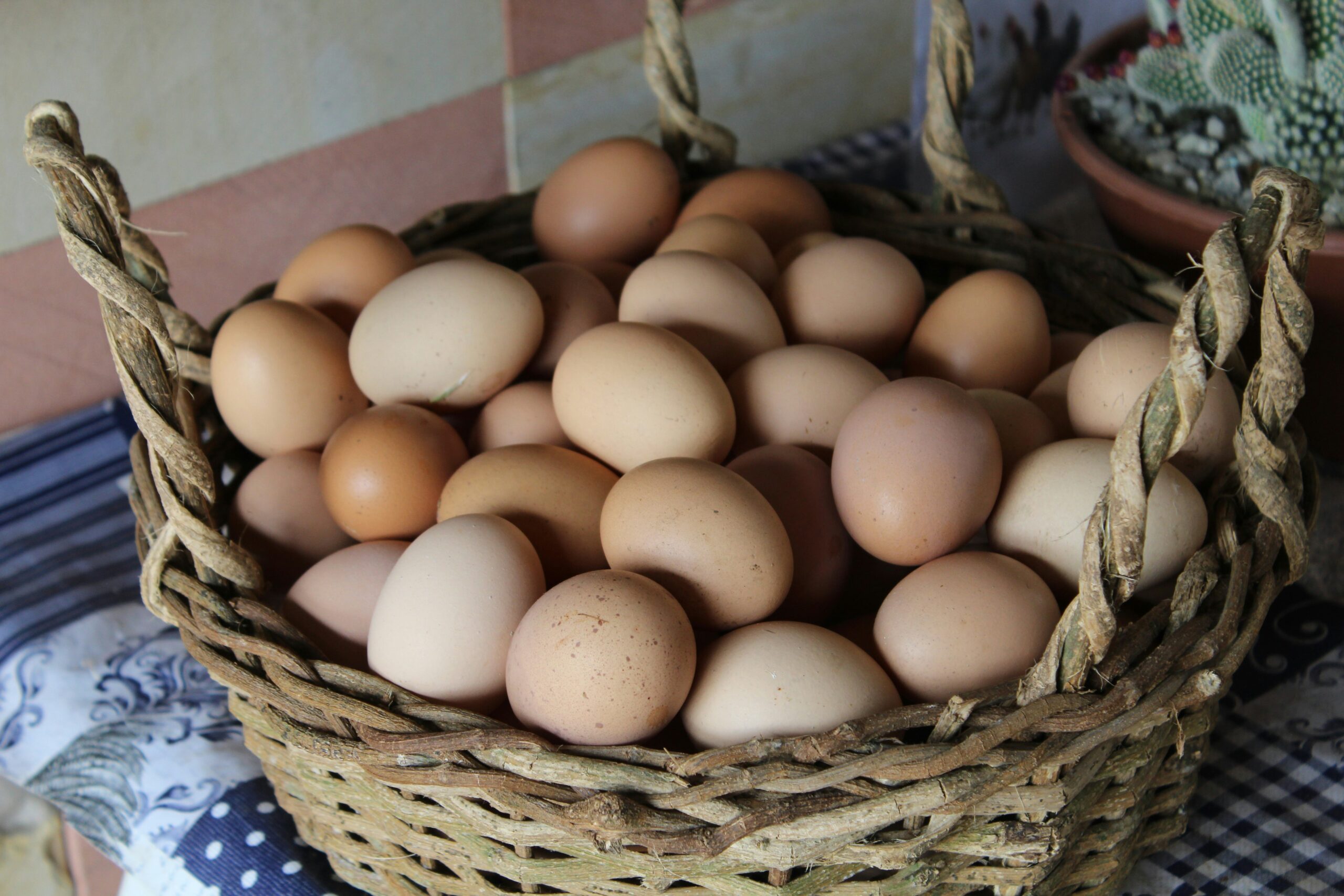 Basket of eggs.