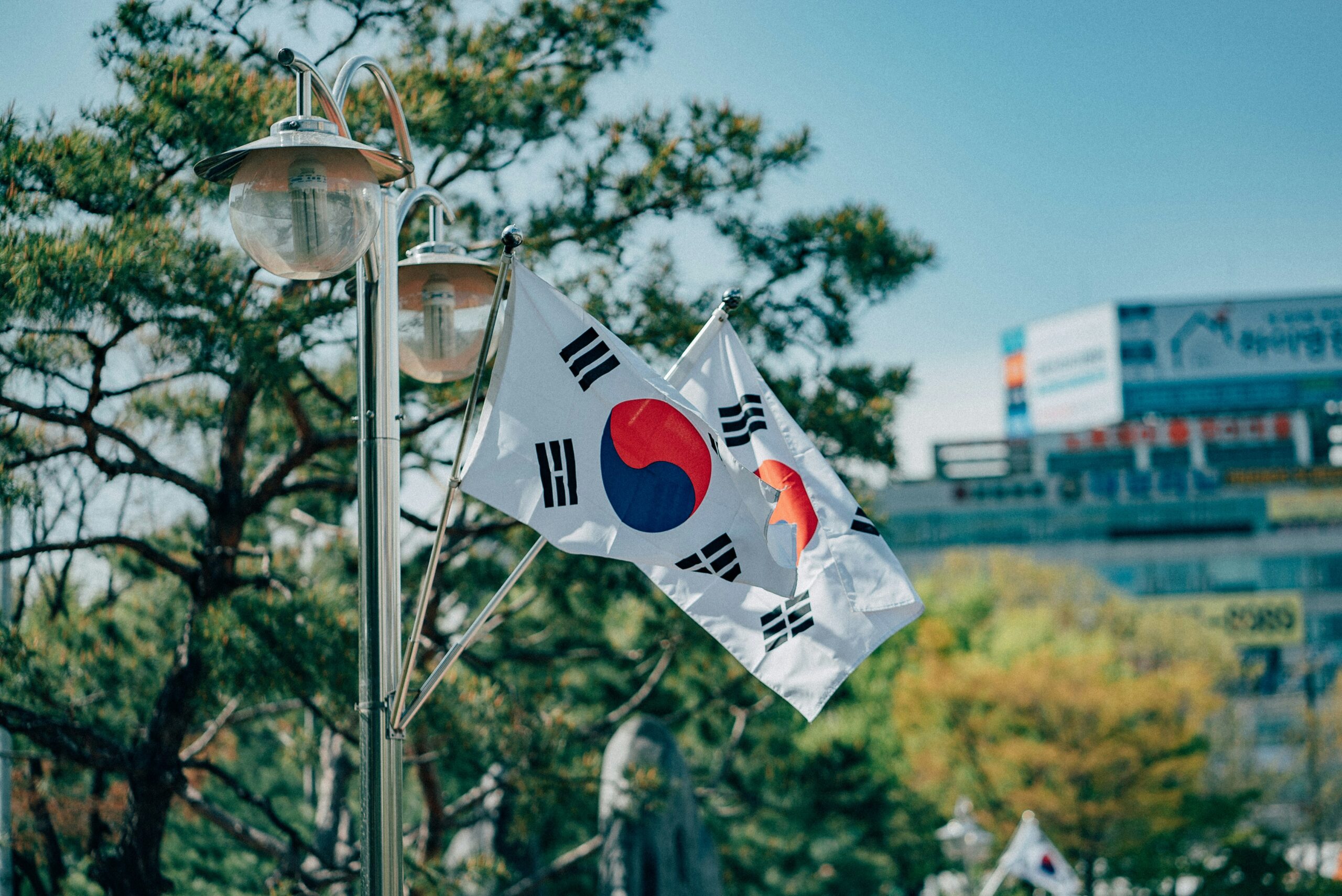 Photo of two South Korean flags against trees and a blue sky.