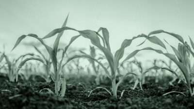 Client Withdrawals Can Outpace Organic Growth if RIAs Aren’t Careful Enough