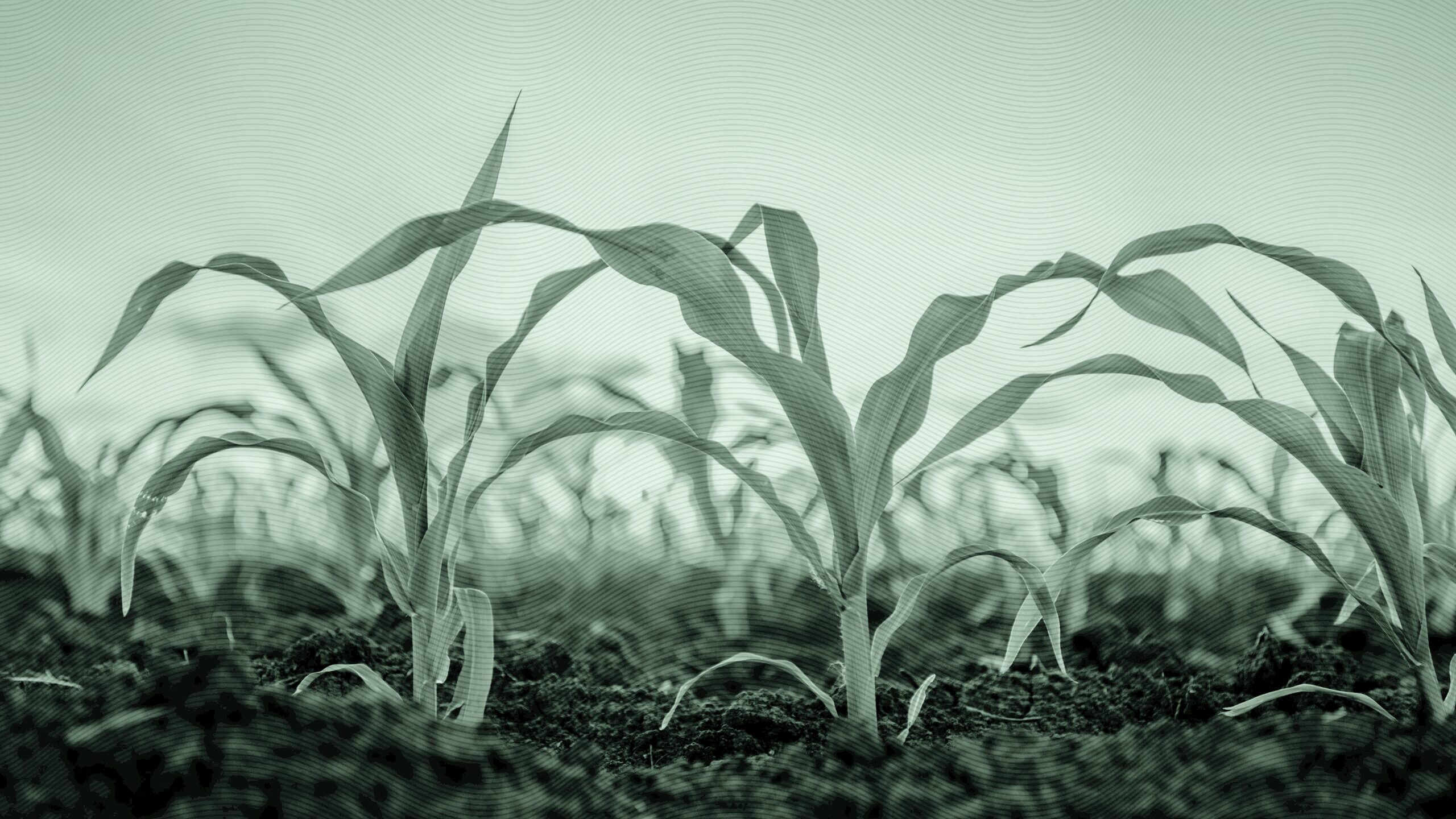 Client Withdrawals Can Outpace Organic Growth if RIAs Aren’t Careful Enough