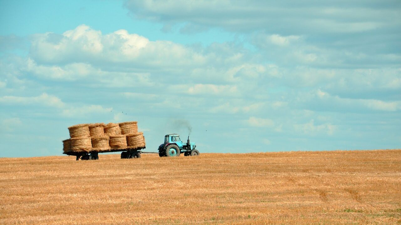 Amber Waves of Grain Are Up By 28% 