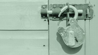 Here’s How Advisors Are Navigating the Private Markets Boom