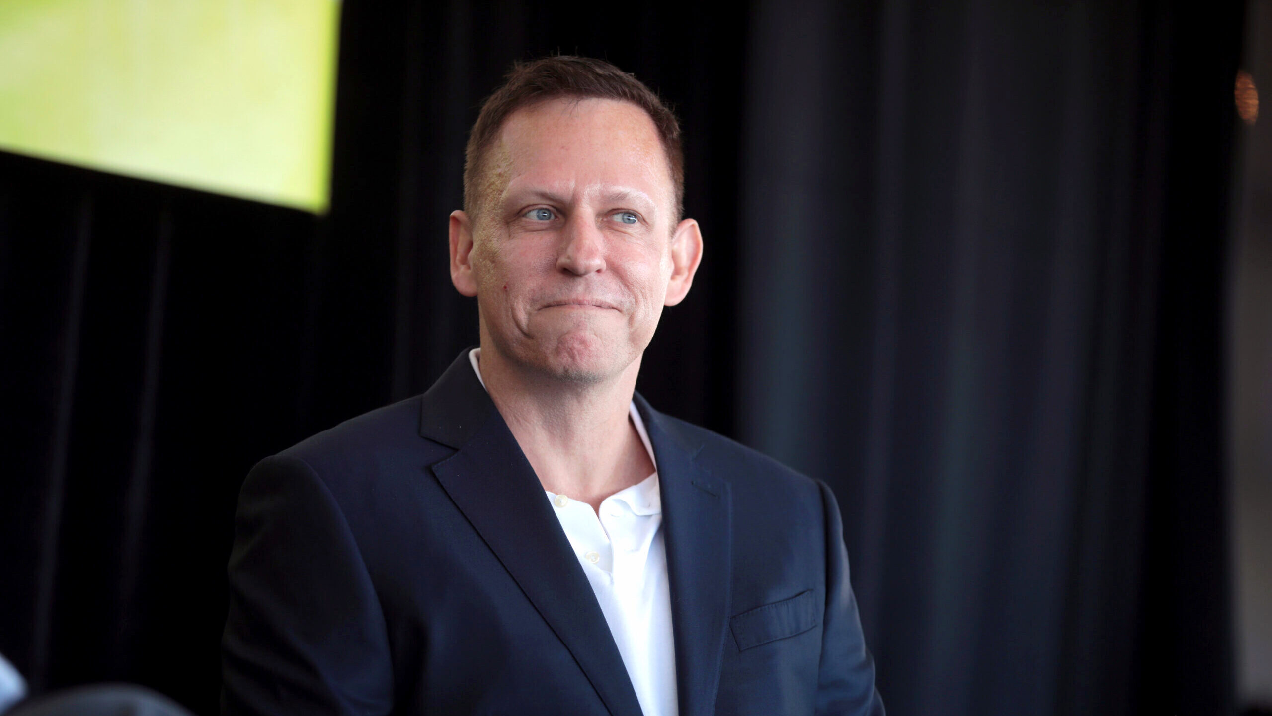 Photo of Peter Thiel.