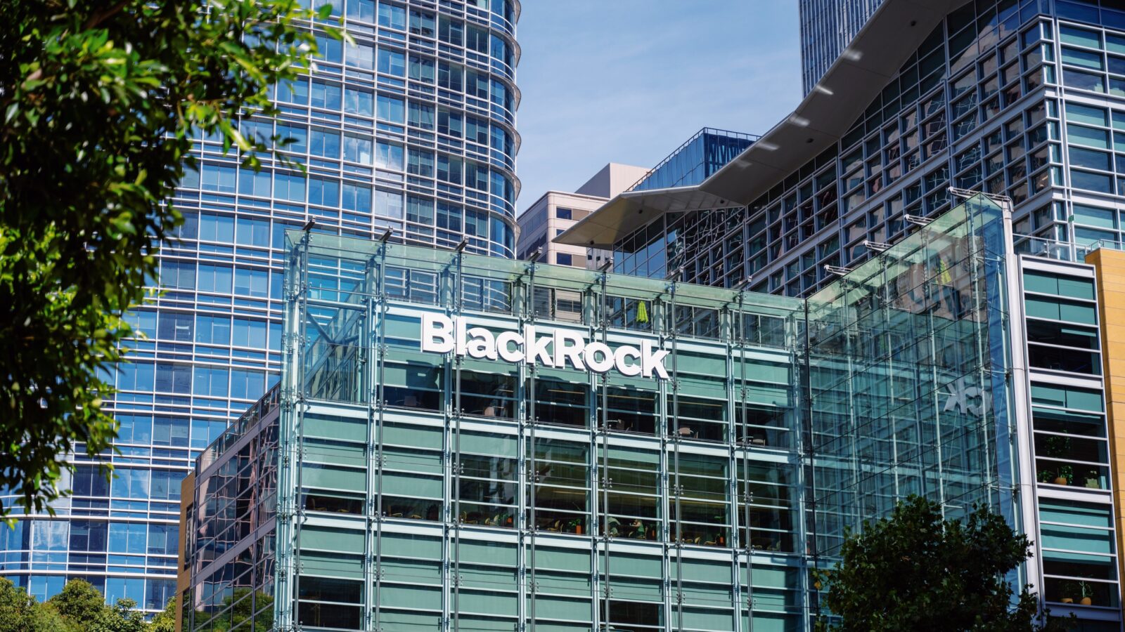 BlackRock Makes a Splash with Dual Share Classes